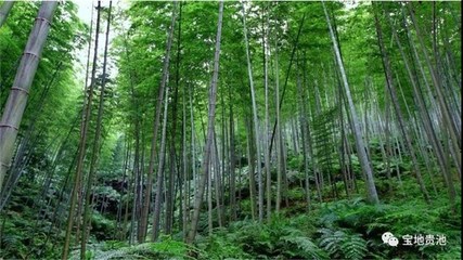 【開局十四五 奮進新征程】里山街道:構筑全域旅游大格局