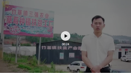 全民電商助力,人人消費助農(nóng)