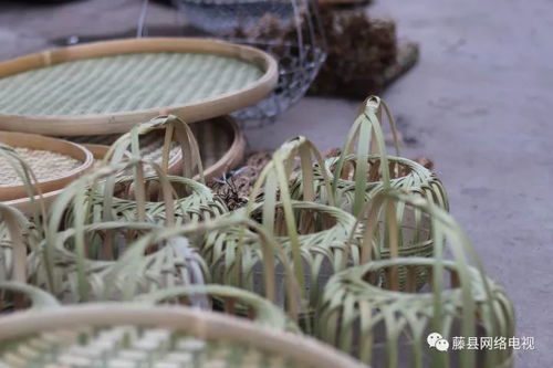 藤縣人,到了今天,你還會記得他們嗎