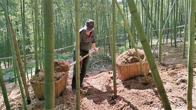 寧波日報社數(shù)字報刊平臺