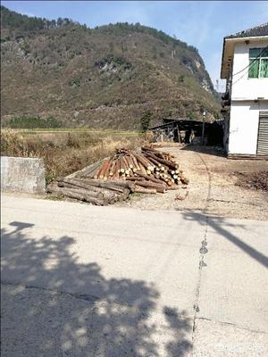 2018農村5萬元成本小型加工廠項目(一個月收入2萬)