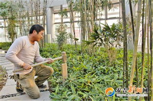 竹博園新增熱帶竹種觀賞區