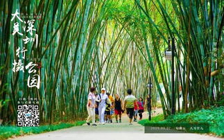 大美深圳 行攝公園 翠竹公園