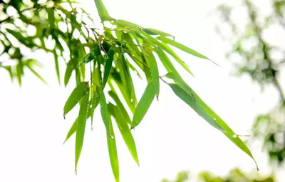 【最美巾幗農莊】咸寧這地方太美,連屈原都流連忘返