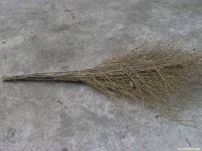用來掃馬路的大掃把是用什么做的
