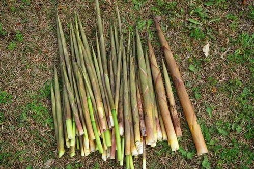 建議寶媽 在家多給孩子做5種零食,可別舍不得花錢,該吃就吃