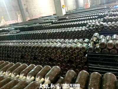 貴州美味鮮竹蓀產業:復工復產抓效益